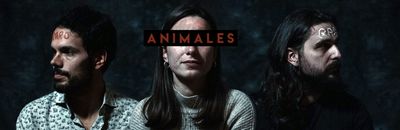 Animales - Del mismo modo